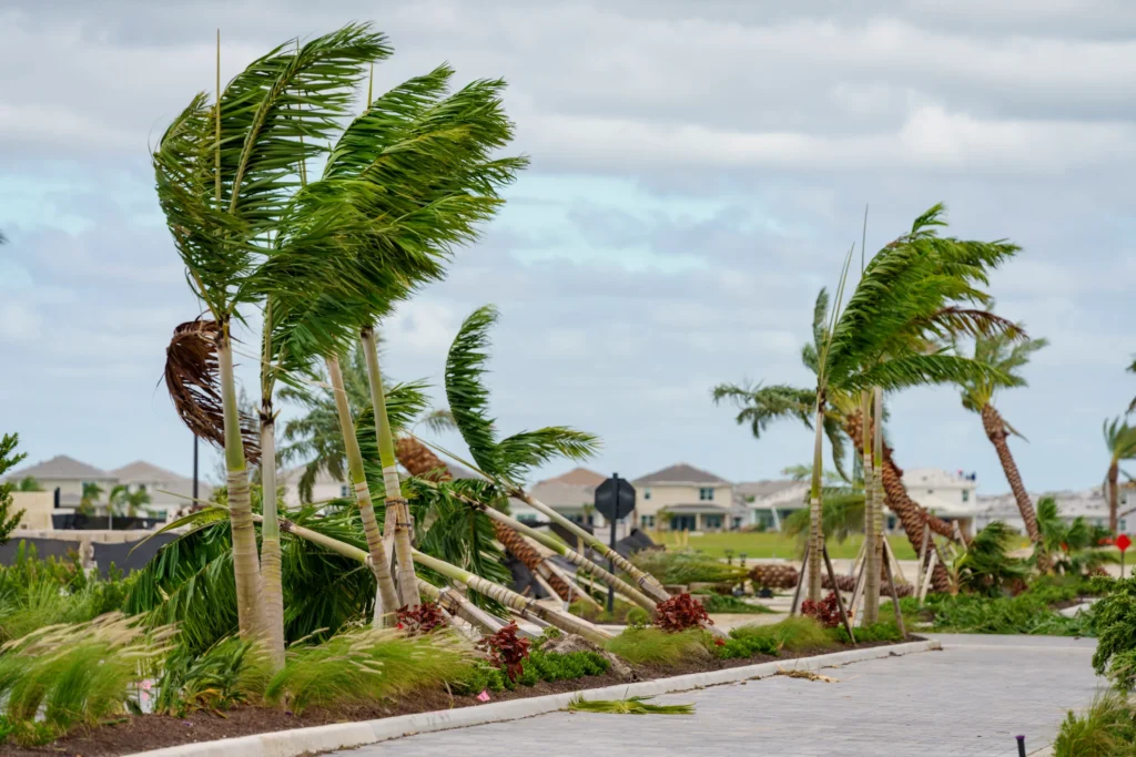 Can Hurricane Damage Claim Be Denied If i Didn’t Make Emergency Repairs Immediately? Can Hurricane Damage Claim Be Denied If i Didn't Make Emergency Repairs Immediately?