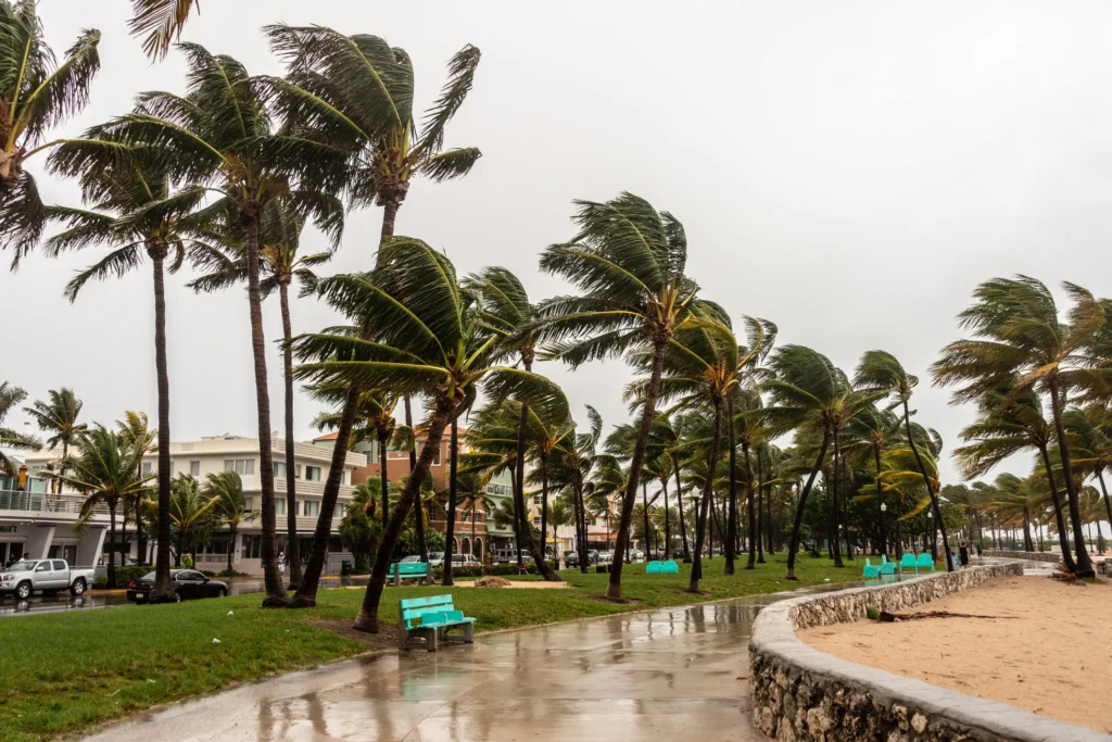 Does Standard Florida Homeowners Policy Cover All Hurricane Damage? Does Standard Florida Homeowners Policy Cover All Hurricane Damage?