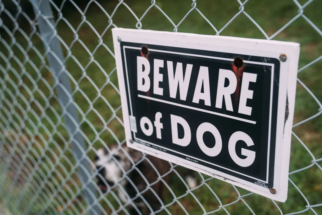 Does Palm Beach County Have Its Own Ordinances That Affect My Dog Bite Claim?