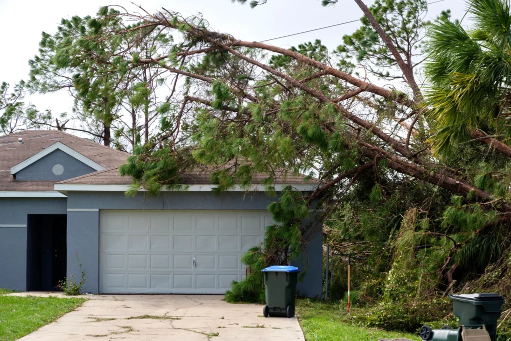 What To Do If Insurance Company Lowballed Or Denied Hurricane Damage Claim? What To Do If Insurance Company Lowballed Or Denied Hurricane Damage Claim?