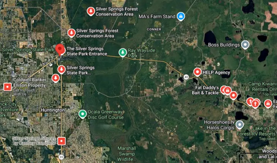 Silver Springs, FL – Pickup Driver Killed in School Bus Crash on SR 40